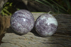 Polished Purple Lepidolite Spheres  x 3 From Madagascar - Toprock Gemstones and Minerals 