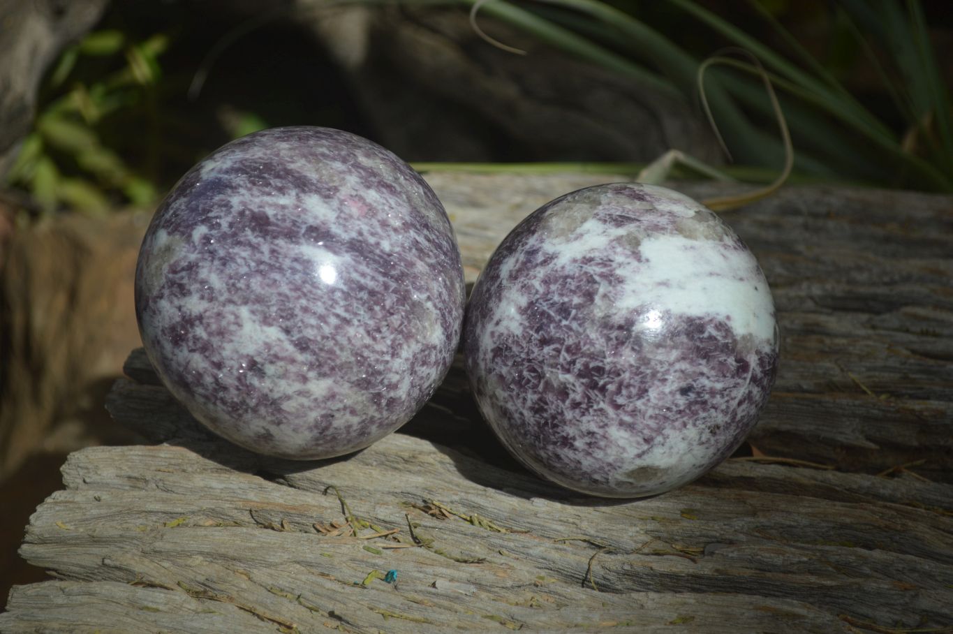Polished Purple Lepidolite Spheres  x 3 From Madagascar - Toprock Gemstones and Minerals 