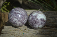 Polished Purple Lepidolite Spheres  x 3 From Madagascar - Toprock Gemstones and Minerals 