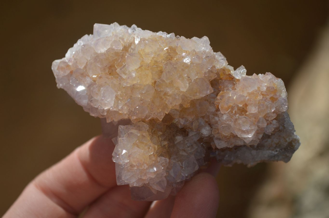 Natural Mixed Spirit Quartz Clusters x 7 From Boekenhouthoek, South Africa - Toprock Gemstones and Minerals 