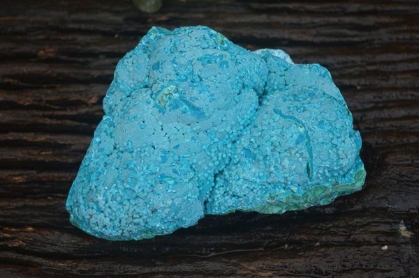 Natural Blue Chrysocolla On Silky Malachite Specimen x 1 From Kulukuluku, Congo - Toprock Gemstones and Minerals 