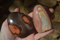Polished Polychrome Jasper Standing Free Forms  x 6 From Mahajanga, Madagascar - Toprock Gemstones and Minerals 