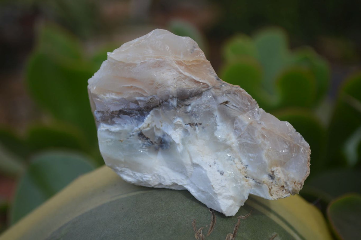 Natural Rough Dendritic White Opal Specimens  x 24 From Namibia - Toprock Gemstones and Minerals 