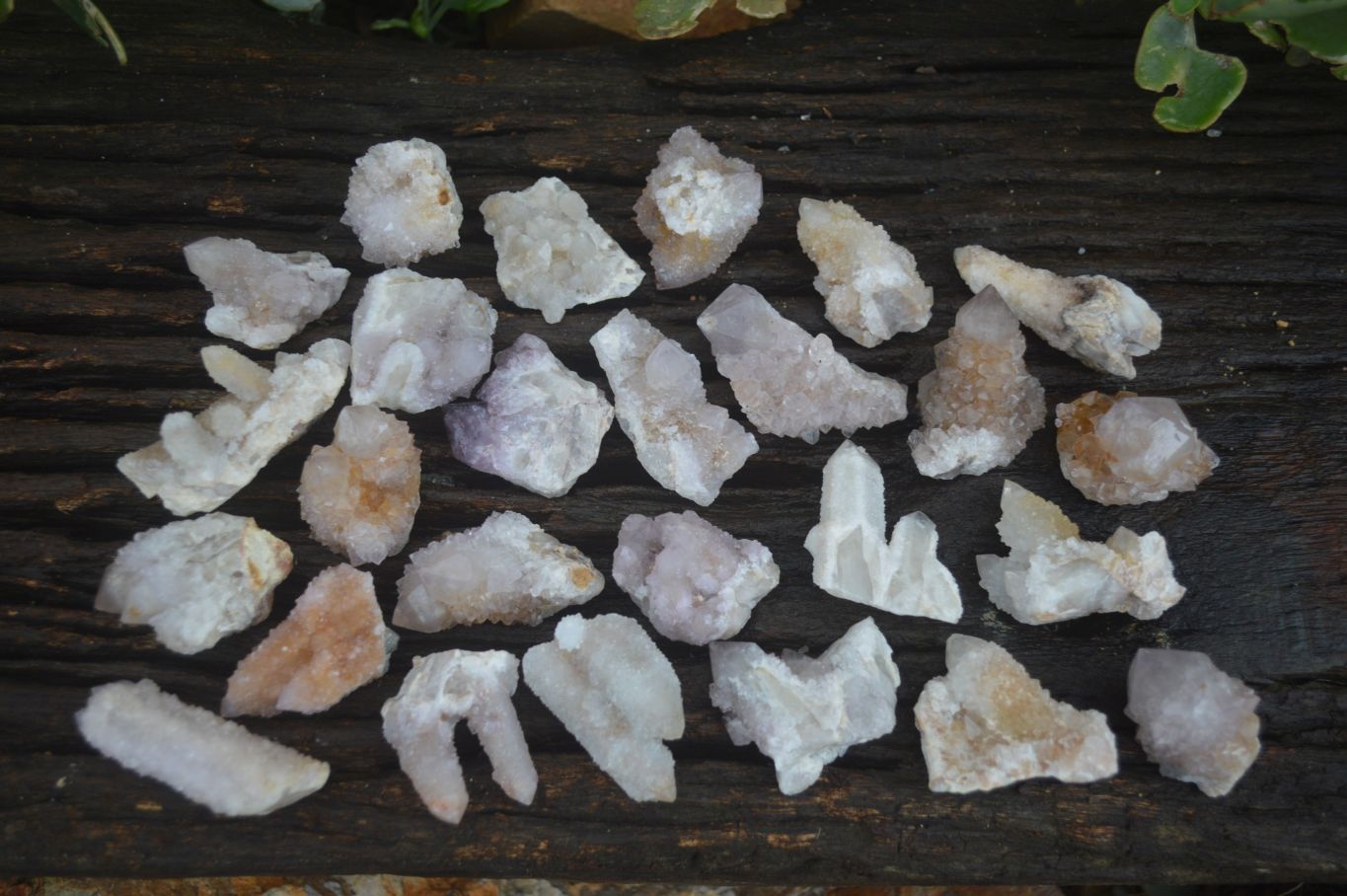 Natural Small Mixed Spirit Quartz Specimens  x 35 From Boekenhouthoek, South Africa - Toprock Gemstones and Minerals 