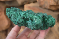 Natural Chatoyant Silky Malachite Specimens  x 3 From Kasompe, Congo - Toprock Gemstones and Minerals 
