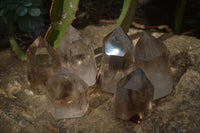 Polished  Wispy Phantom Smokey Quartz Points  x 6 From Madagascar