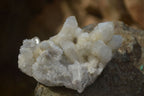 Natural Spirit Quartz Clusters x 6 From Boekenhouthoek, South Africa - Toprock Gemstones and Minerals 