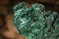 Polished  Chatoyant Silky Malachite Specimens  x 2 From Congo - Toprock Gemstones and Minerals 
