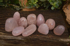 Polished Gemmy Pink Rose Quartz Standing Free Forms x 12 From Madagascar - Toprock Gemstones and Minerals 
