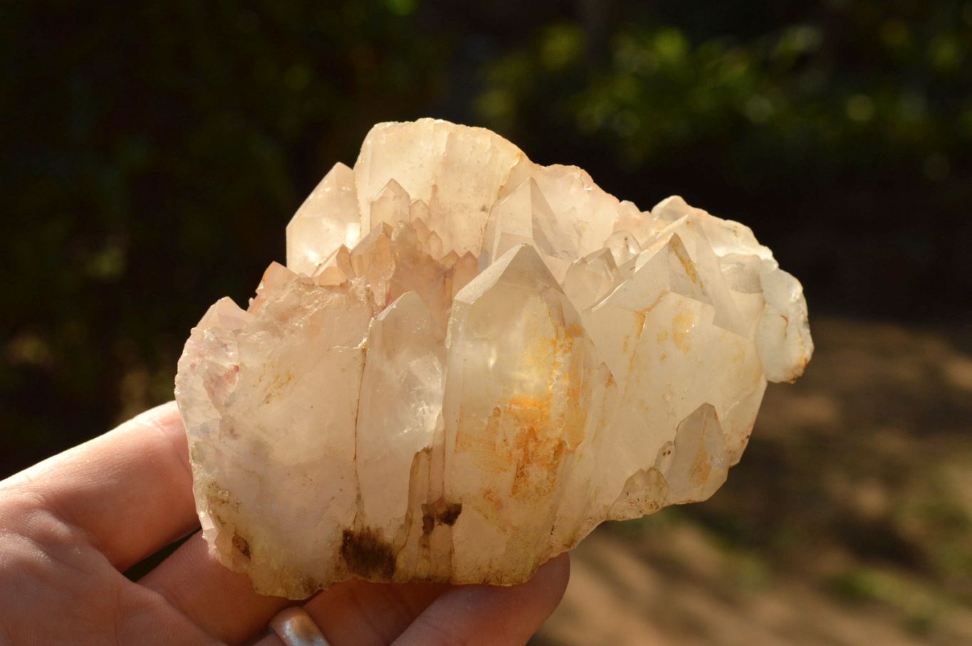 Natural Mixed Quartz Crystals & Clusters  x 13 From Madagascar - TopRock