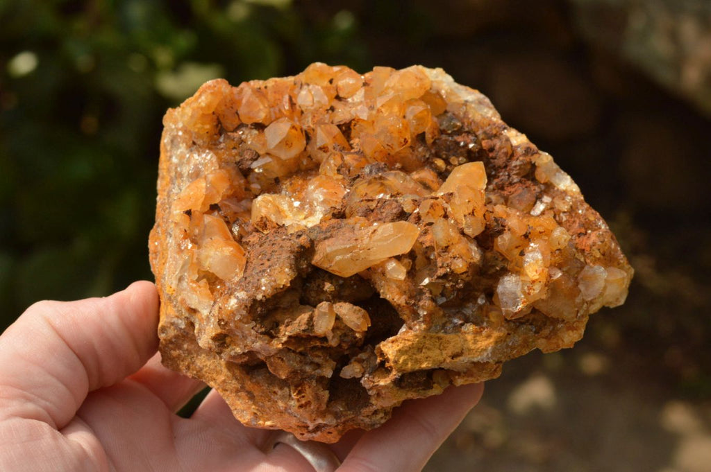 Natural Golden Limonite / Lemonite Quartz Clusters  x 3 From Mwinilunga, Zambia - TopRock