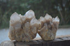 Natural White Phantom Smokey Quartz Clusters  x 3 From Congo - Toprock Gemstones and Minerals 