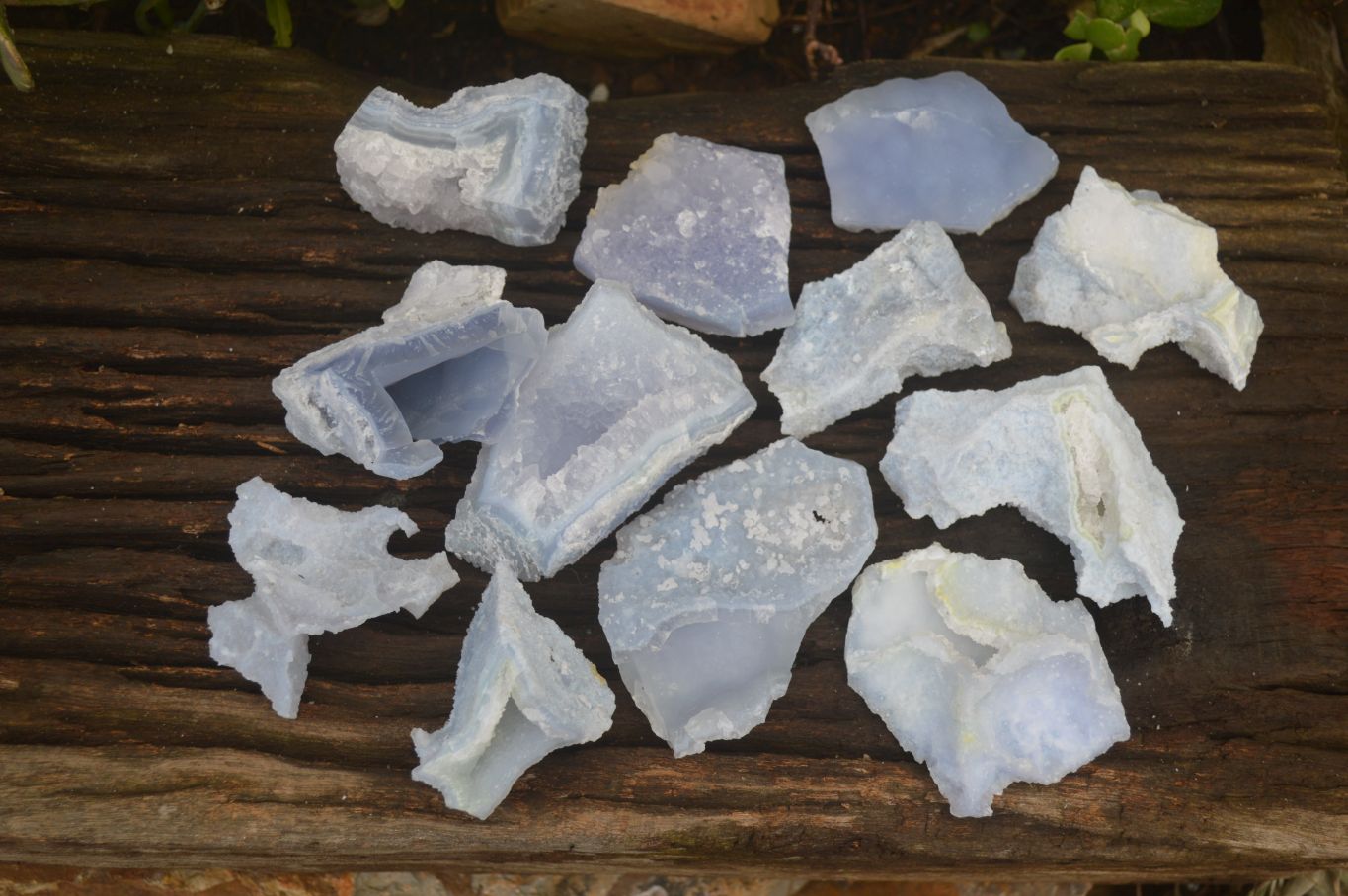 Natural Etched Blue Chalcedony Specimens  x 12 From Nsanje, Malawi - Toprock Gemstones and Minerals 
