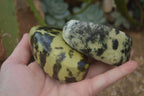 Polished Leopard Stone Free Forms  x 6 From Inyanga, Zimbabwe - Toprock Gemstones and Minerals 