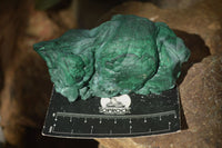 Natural Botryoidal Silky Malachite Specimens  x 5 From Congo - Toprock Gemstones and Minerals 