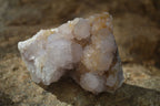 Natural Mixed Spirit Quartz Clusters x 7 From Boekenhouthoek, South Africa - Toprock Gemstones and Minerals 
