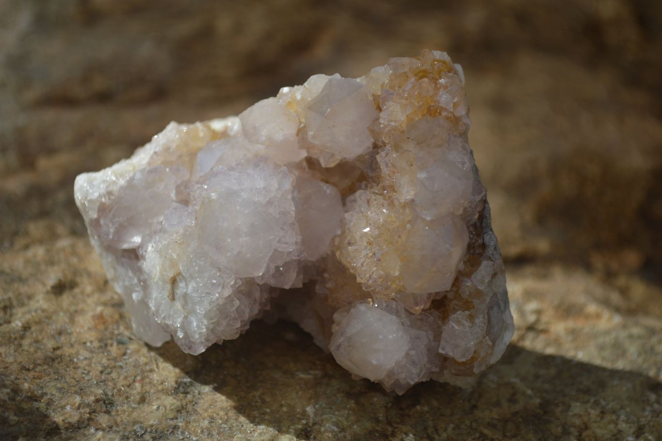 Natural Mixed Spirit Quartz Clusters x 7 From Boekenhouthoek, South Africa - Toprock Gemstones and Minerals 