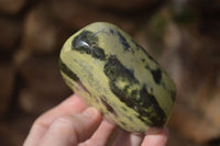 Polished Leopard Stone Free Forms  x 6 From Inyanga, Zimbabwe - Toprock Gemstones and Minerals 