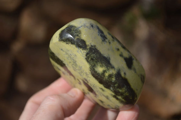 Polished Leopard Stone Free Forms  x 6 From Inyanga, Zimbabwe - Toprock Gemstones and Minerals 