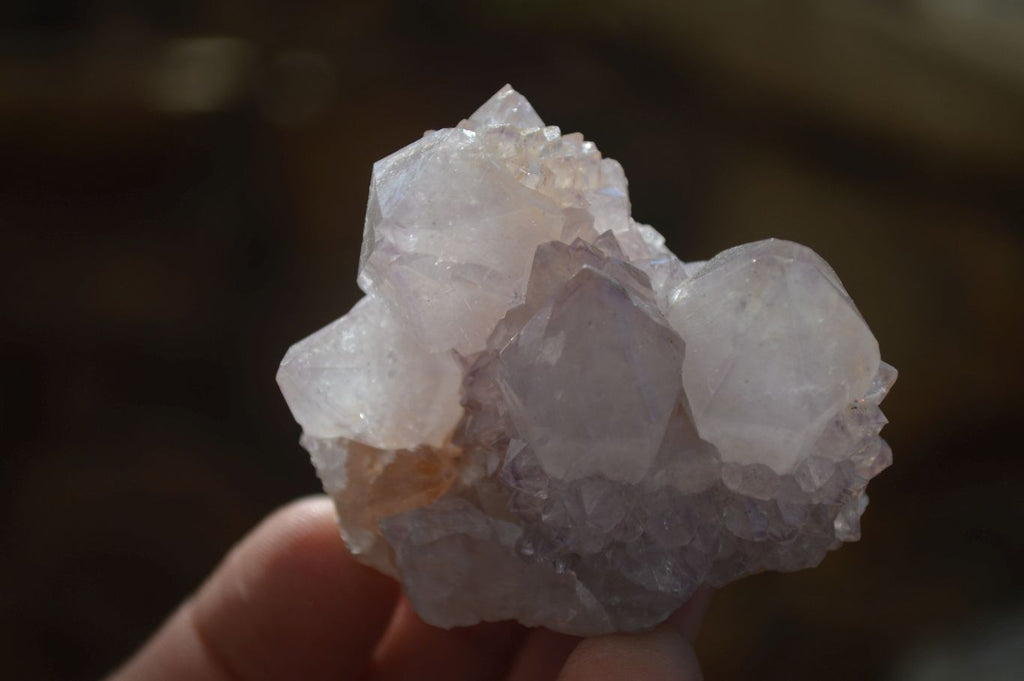 Natural Mixed Spirit Quartz Clusters x 7 From Boekenhouthoek, South Africa - Toprock Gemstones and Minerals 