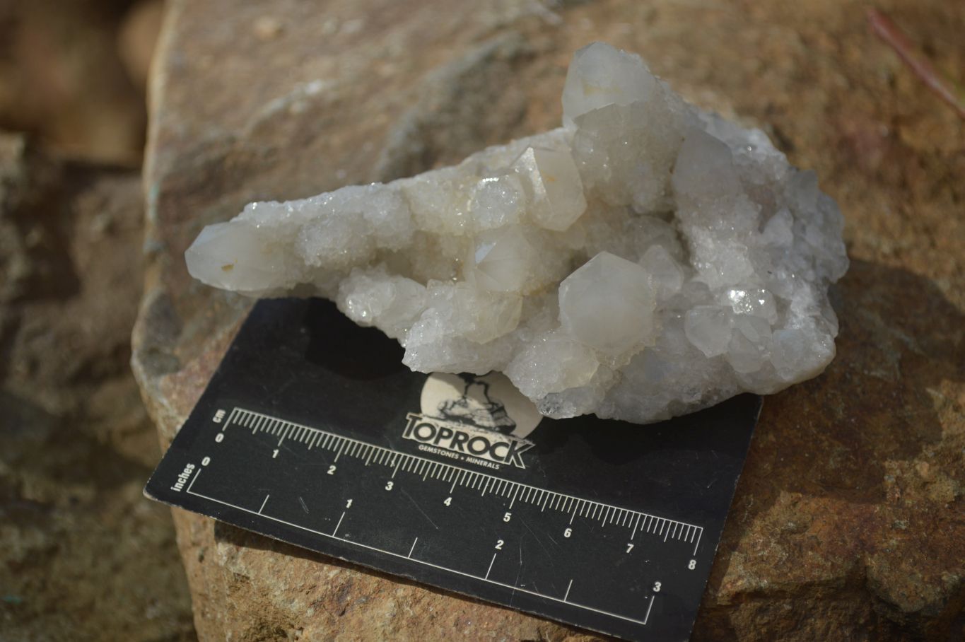 Natural Spirit Quartz Clusters x 6 From Boekenhouthoek, South Africa - Toprock Gemstones and Minerals 