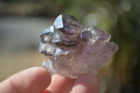Natural Window Amethyst Crystal Specimens  x 12 From Chiredzi, Zimbabwe - Toprock Gemstones and Minerals 