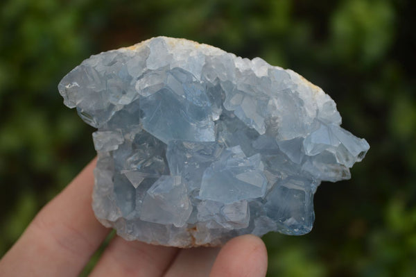 Natural Blue Celestite Crystal Specimens  x 5 From Sakoany, Madagascar - Toprock Gemstones and Minerals 