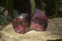 Polished Red Rhodonite Standing Free Forms x 2 From Zimbabwe - Toprock Gemstones and Minerals 