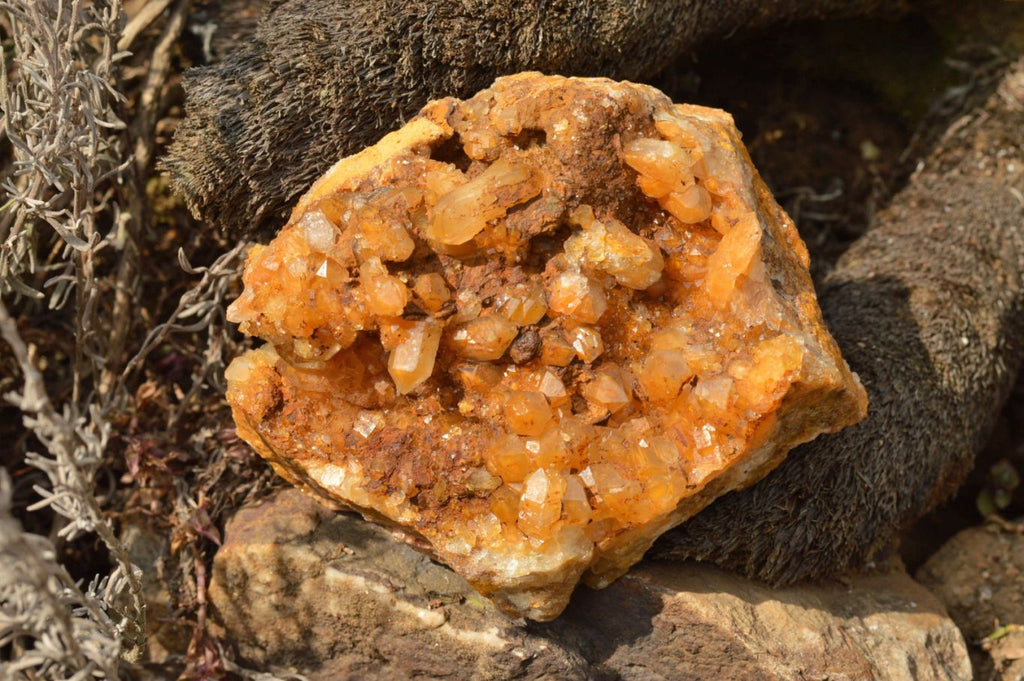 Natural Golden Limonite / Lemonite Quartz Clusters  x 3 From Mwinilunga, Zambia - TopRock