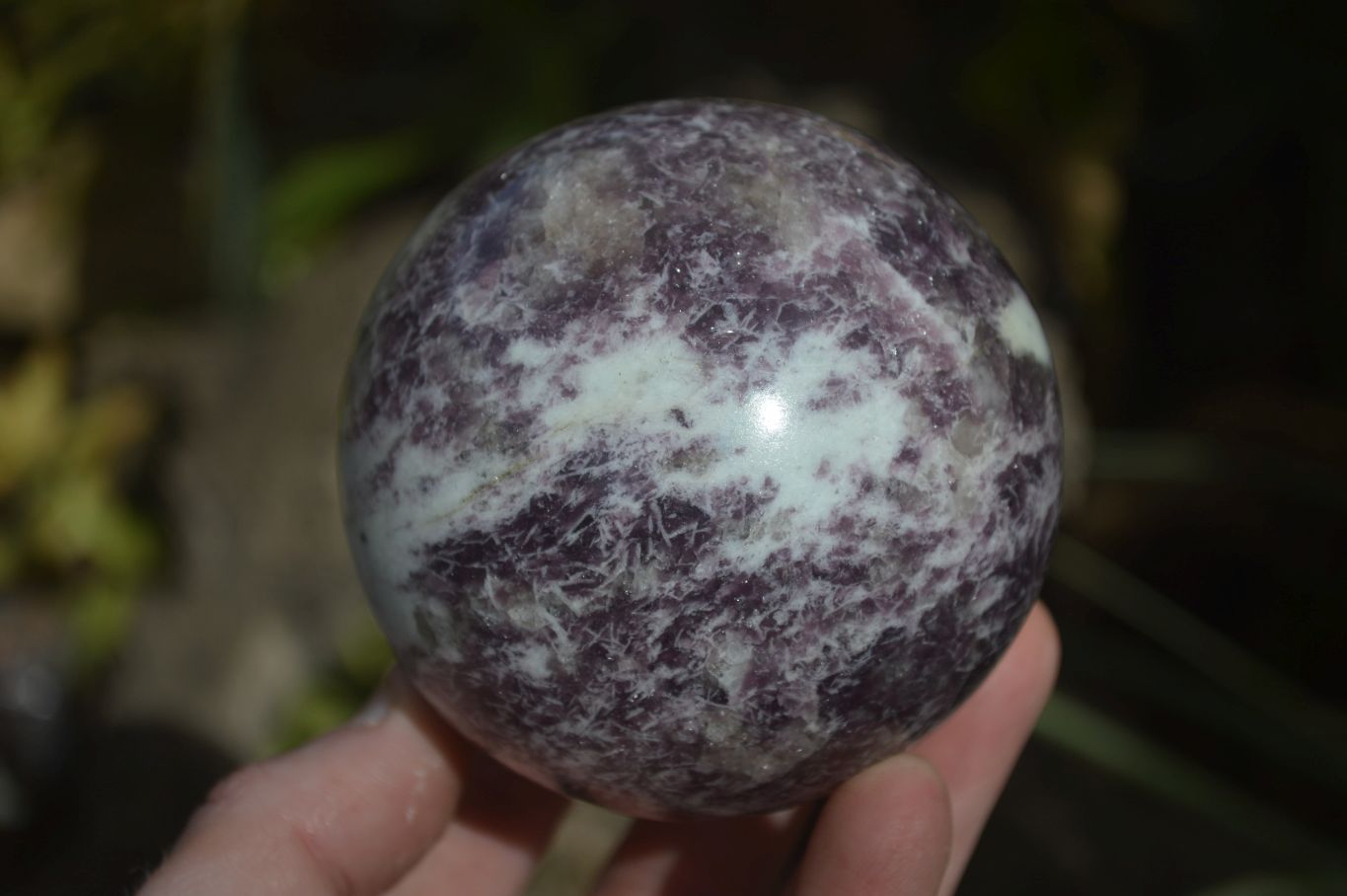 Polished Purple Lepidolite Spheres  x 3 From Madagascar - Toprock Gemstones and Minerals 