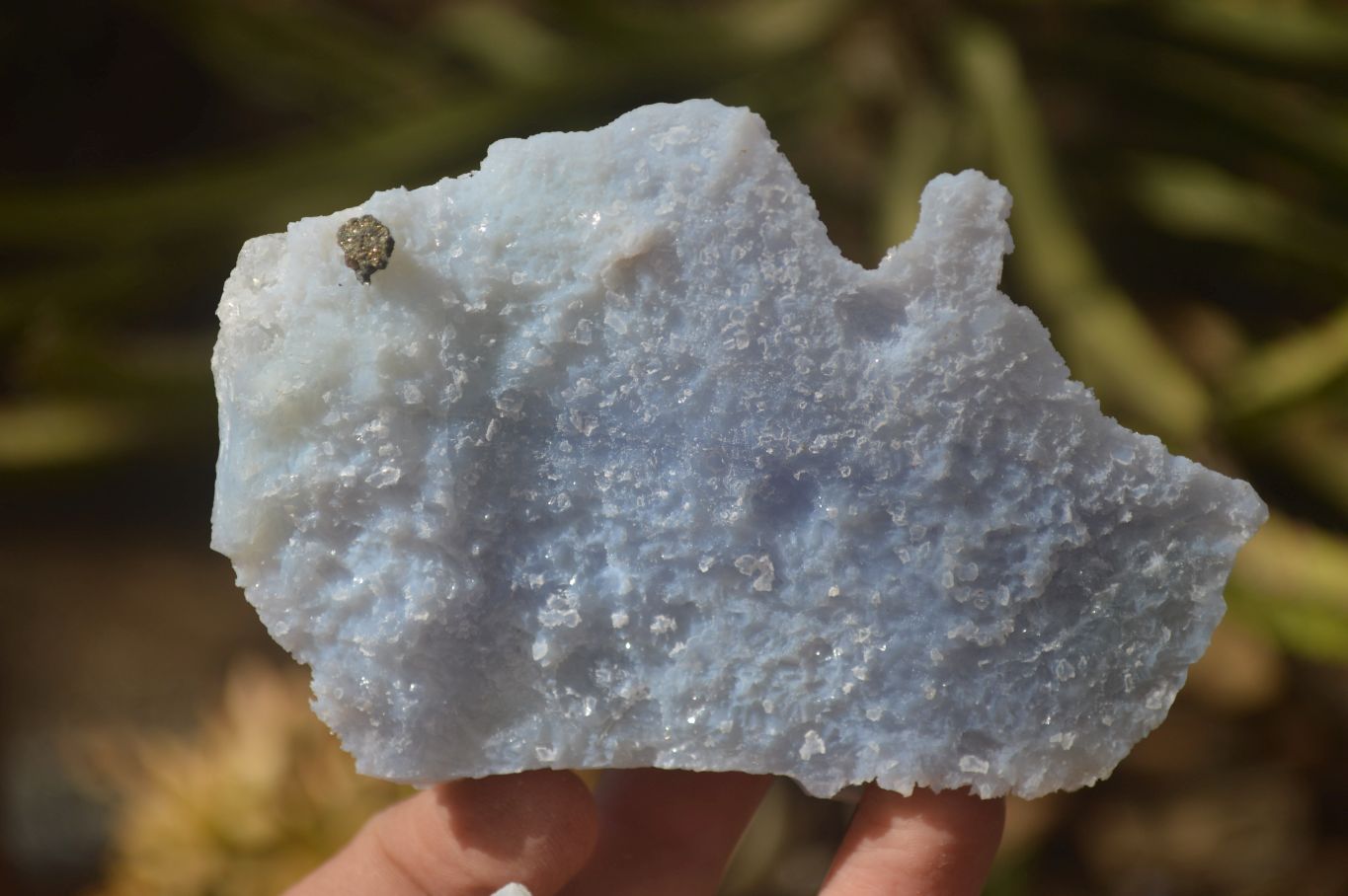 Natural Etched Blue Chalcedony Specimens  x 6 From Nsanje, Malawi - Toprock Gemstones and Minerals 