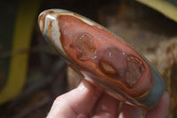 Polished Polychrome Jasper Standing Free Forms  x 6 From Mahajanga, Madagascar - Toprock Gemstones and Minerals 