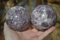 Polished Purple Lepidolite Spheres  x 3 From Madagascar - Toprock Gemstones and Minerals 