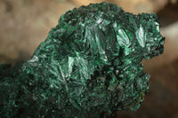 Polished  Chatoyant Silky Malachite Specimens  x 2 From Congo - Toprock Gemstones and Minerals 