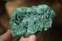 Natural Botryoidal Silky Malachite Specimens  x 5 From Congo - Toprock Gemstones and Minerals 