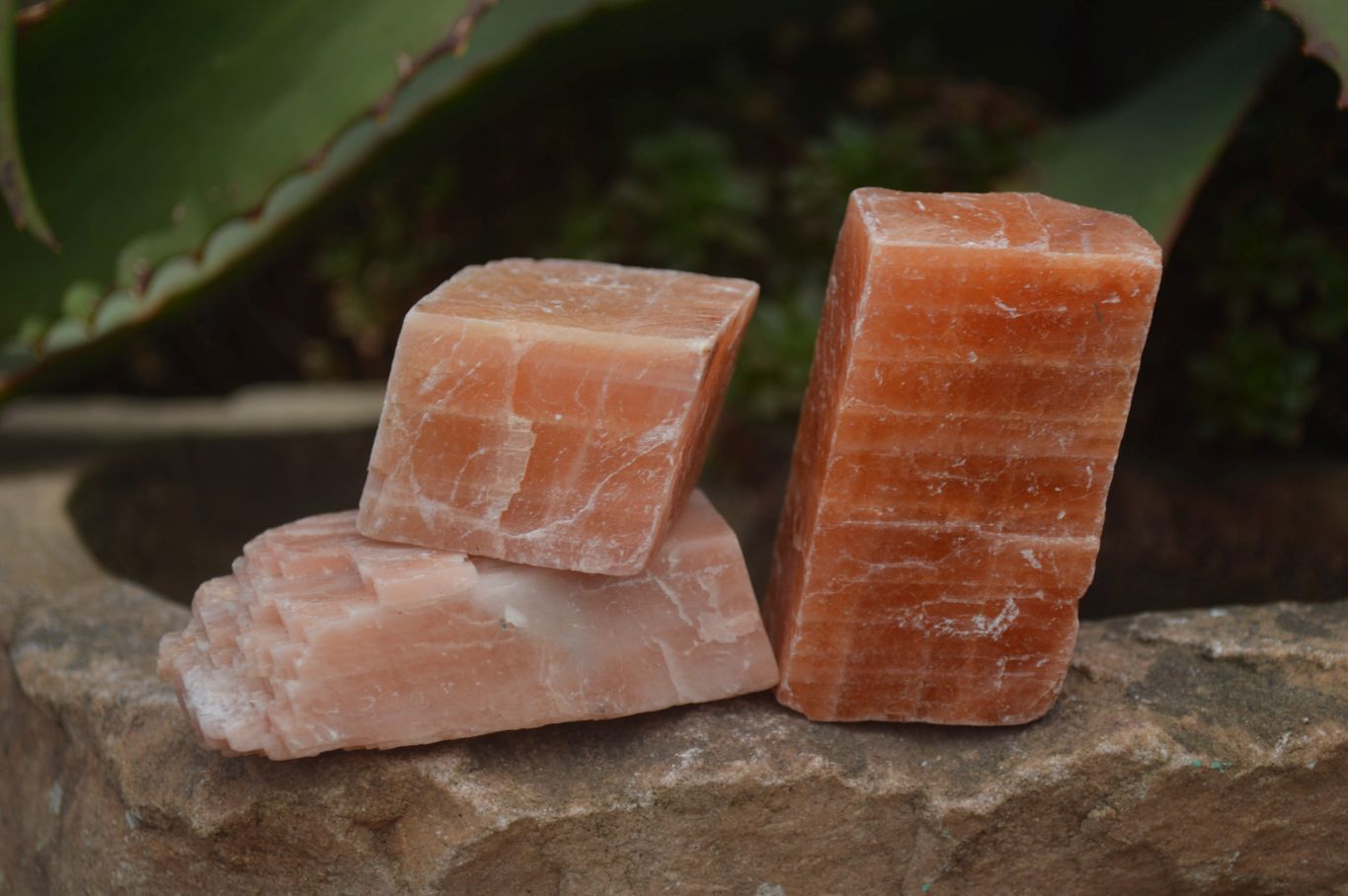 Natural New Sunset Orange Calcite Specimens  x 24 From Spitzkop, Namibia - Toprock Gemstones and Minerals 