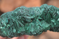 Natural Chatoyant Silky Malachite Specimens  x 3 From Kasompe, Congo - Toprock Gemstones and Minerals 