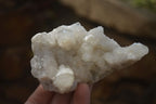 Natural Spirit Quartz Clusters x 6 From Boekenhouthoek, South Africa - Toprock Gemstones and Minerals 