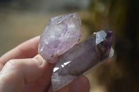 Natural Window Amethyst Crystal Specimens  x 12 From Chiredzi, Zimbabwe - Toprock Gemstones and Minerals 