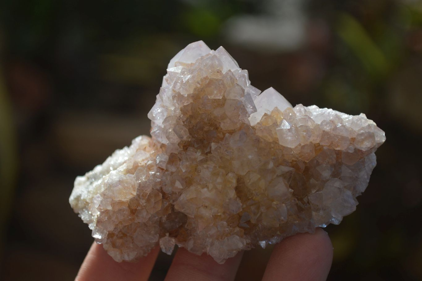Natural Mixed Spirit Quartz Clusters x 7 From Boekenhouthoek, South Africa - Toprock Gemstones and Minerals 