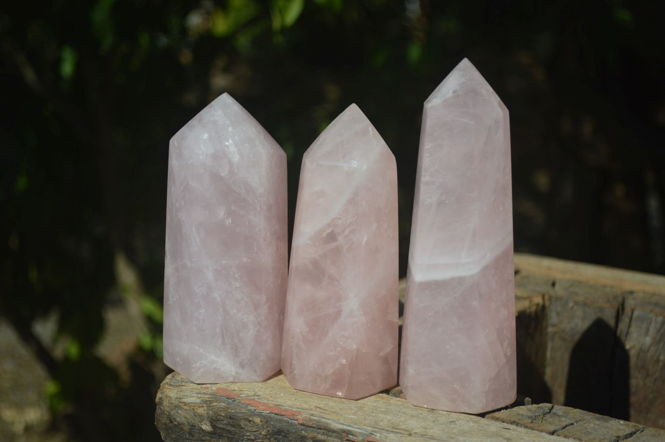 Polished Pink Rose Quartz Points  x 3 From Madagascar - Toprock Gemstones and Minerals 