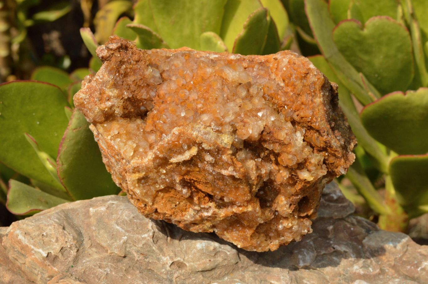 Natural Golden Limonite / Lemonite Quartz Clusters  x 3 From Mwinilunga, Zambia - TopRock