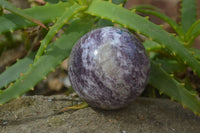 Polished Purple Lepidolite Spheres  x 3 From Madagascar - Toprock Gemstones and Minerals 