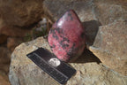 Polished Red Rhodonite Standing Free Forms x 2 From Zimbabwe - Toprock Gemstones and Minerals 