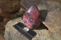 Polished Red Rhodonite Standing Free Forms x 2 From Zimbabwe - Toprock Gemstones and Minerals 