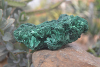 Natural Chatoyant Silky Malachite Specimens  x 3 From Kasompe, Congo - Toprock Gemstones and Minerals 