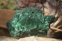 Polished  Chatoyant Silky Malachite Specimens  x 2 From Congo - Toprock Gemstones and Minerals 