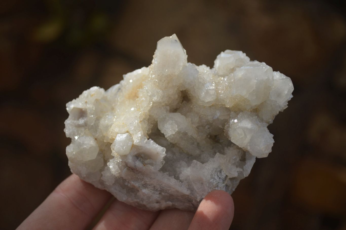 Natural Spirit Quartz Clusters x 6 From Boekenhouthoek, South Africa - Toprock Gemstones and Minerals 