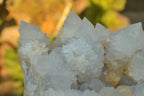 Natural Extra Large Cactus Flower Spirit Quartz Cluster x 1 From Boekenhouthoek, South Africa - TopRock