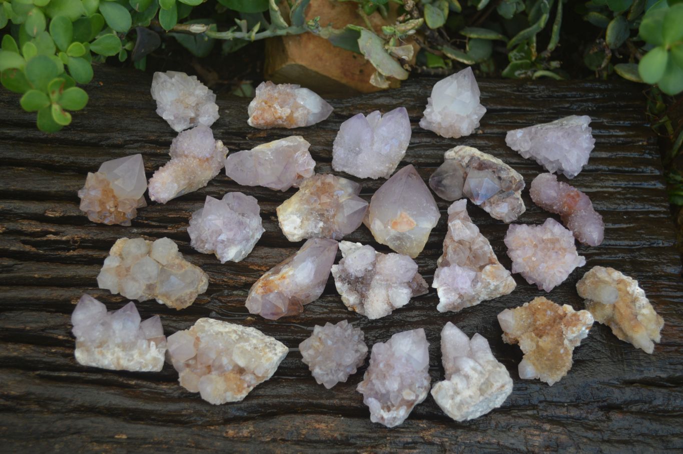 Natural Small Mixed Spirit Amethyst / Ametrine Specimens  x 35 From Boekenhouthoek, South Africa - Toprock Gemstones and Minerals 